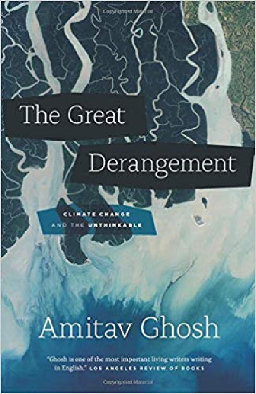 Cover for The Great Derangement