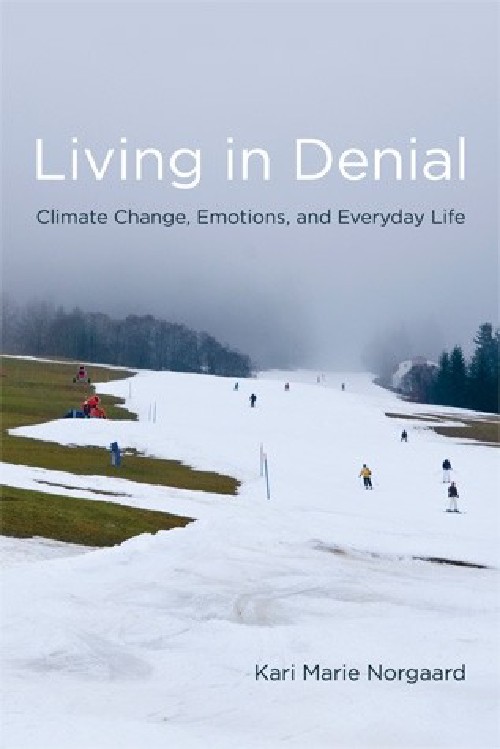 Cover for Living in Denial