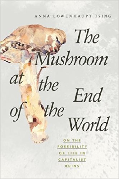 Cover for The Mushroom at the End of the World