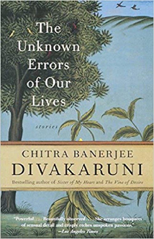 Cover for The Unknown Errors of Our Lives