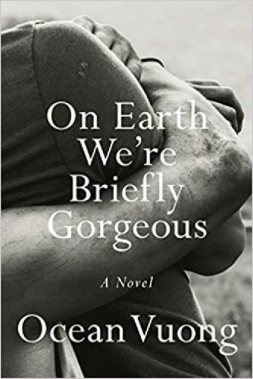 Cover for On Earth We're Briefly Gorgeous