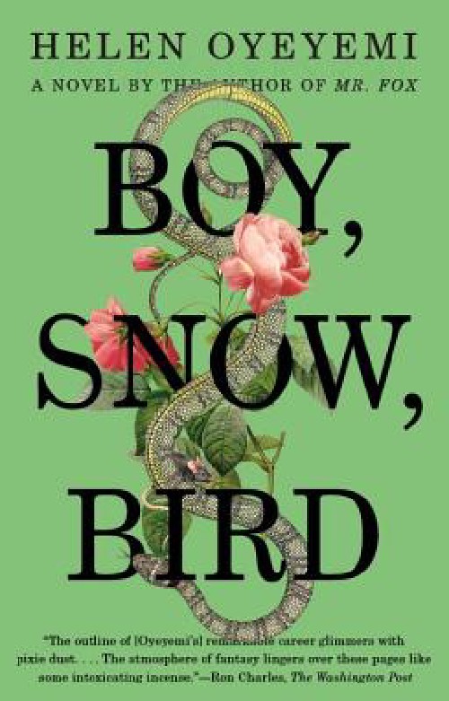 Cover for Boy, Snow, Bird