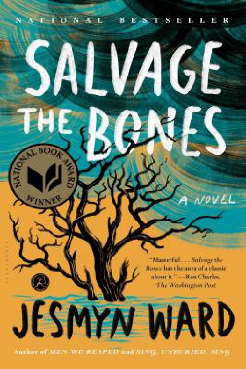Cover for Salvage the Bones