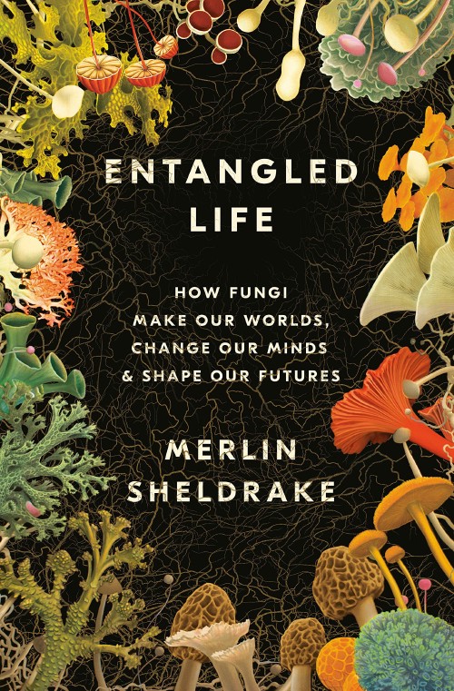 Cover for Entangled Life