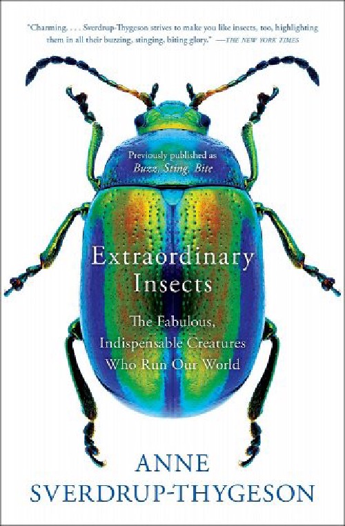 Cover for Extraordinary Insects