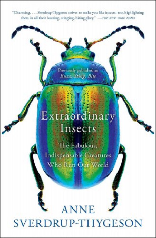 Cover for Extraordinary Insects
