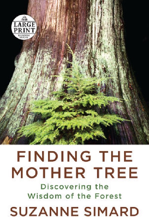 Cover for Finding the Mother Tree