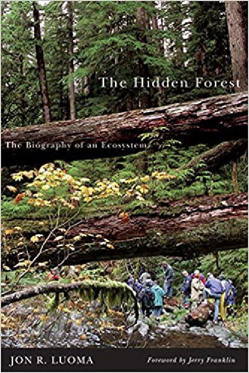 Cover for The Hidden Forest