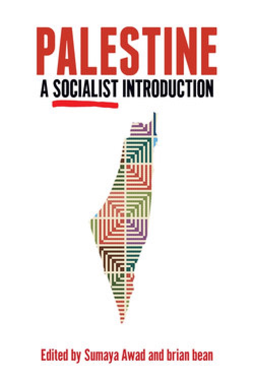 Cover for Palestine: A Socialist Introduction