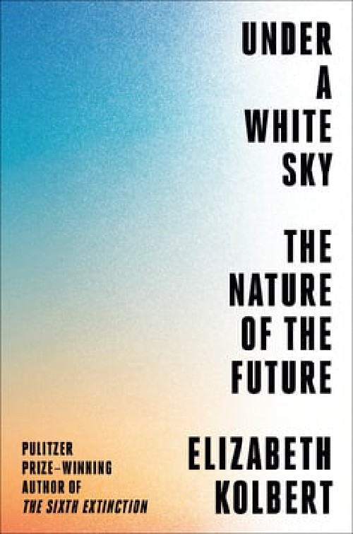 Cover for Under a White Sky