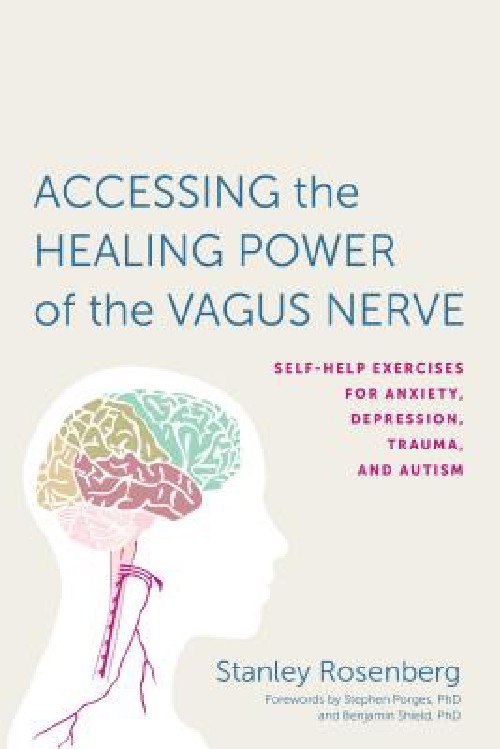Cover for Accessing the Healing Power of the Vagus Nerve