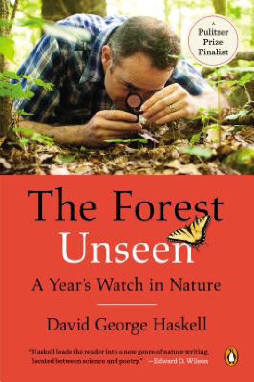 Cover for The Forest Unseen