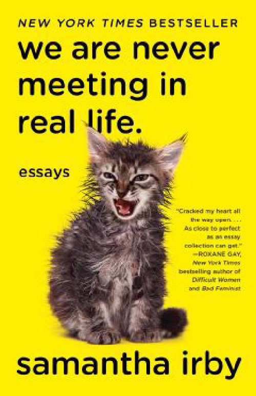 Cover for We Are Never Meeting in Real Life