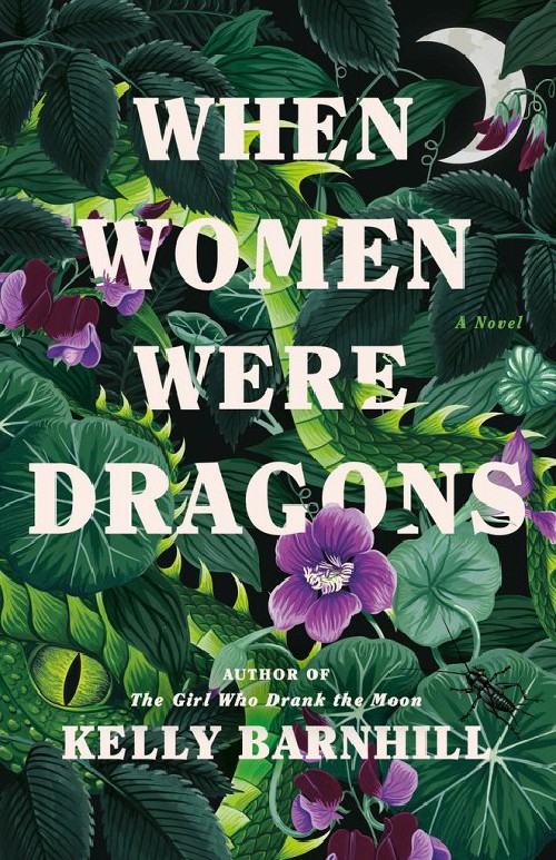 Cover for When Women Were Dragons