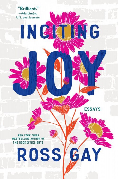 Cover for Inciting Joy: Essays