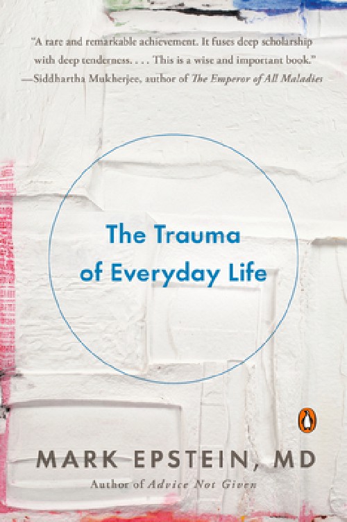Cover for The Trauma of Everday Life