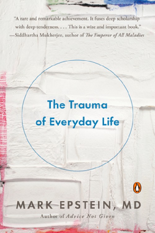 Cover for The Trauma of Everday Life