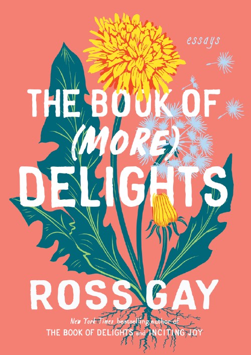 Cover for The Book of (More) Delights
