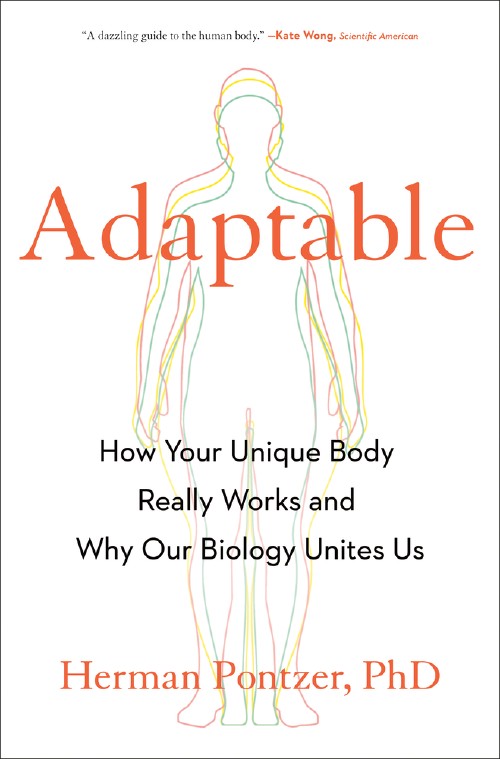 Cover for Adaptable