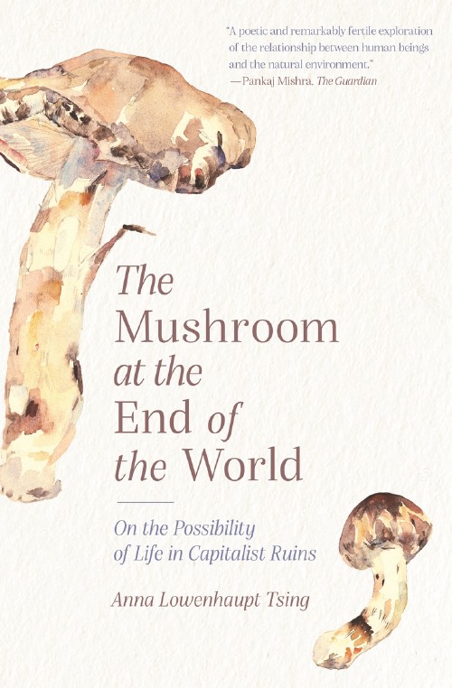Cover for The Mushroom at the End of the World