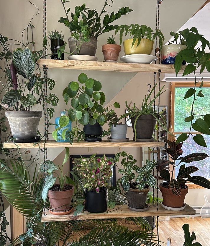 plant library
